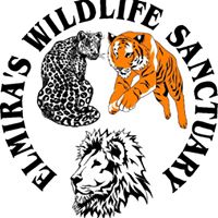 Elmira's Wildlife Sanctuary, Inc.